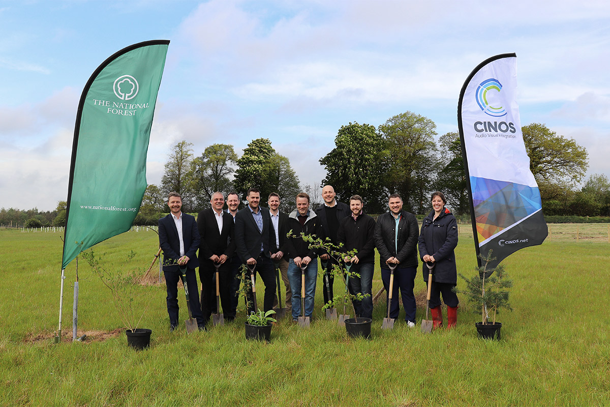 Cinos' planting day at the National Forest